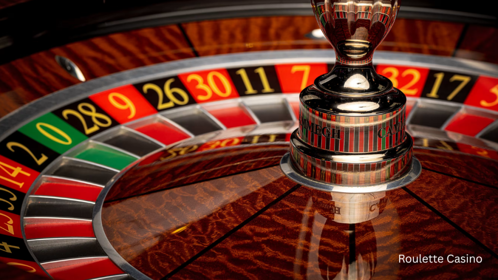 how to play roulette at casino​
